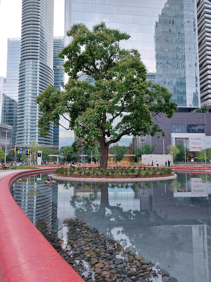 Love Park toronto